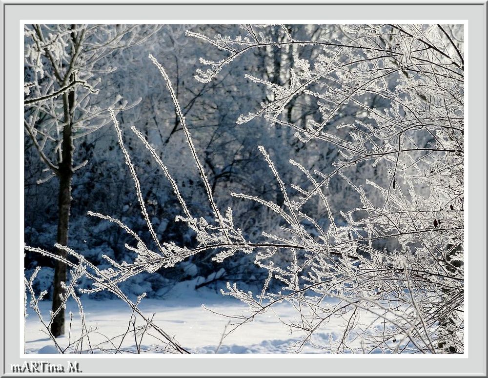Winter-Wunderland  (mit Gedicht)