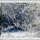 Winter-Wunderland  (mit Gedicht)