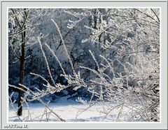 Winter-Wunderland  (mit Gedicht)