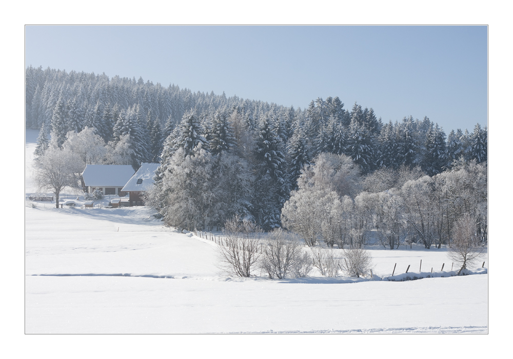 Winter Wunderland Schwarzwald