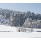 Winter Wunderland Schwarzwald