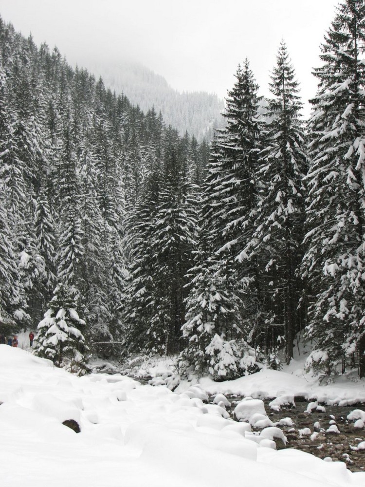 Winter- Zakopane- Koscielisko