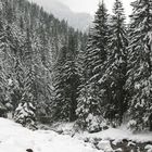 Winter- Zakopane- Koscielisko