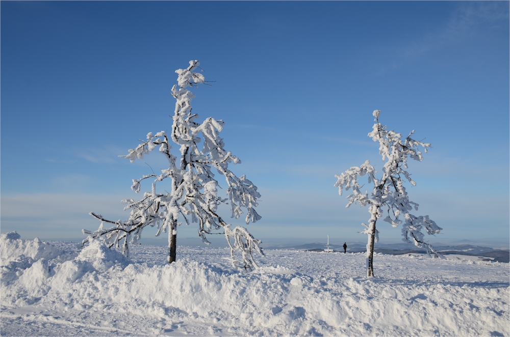 Winter - ZAUBER