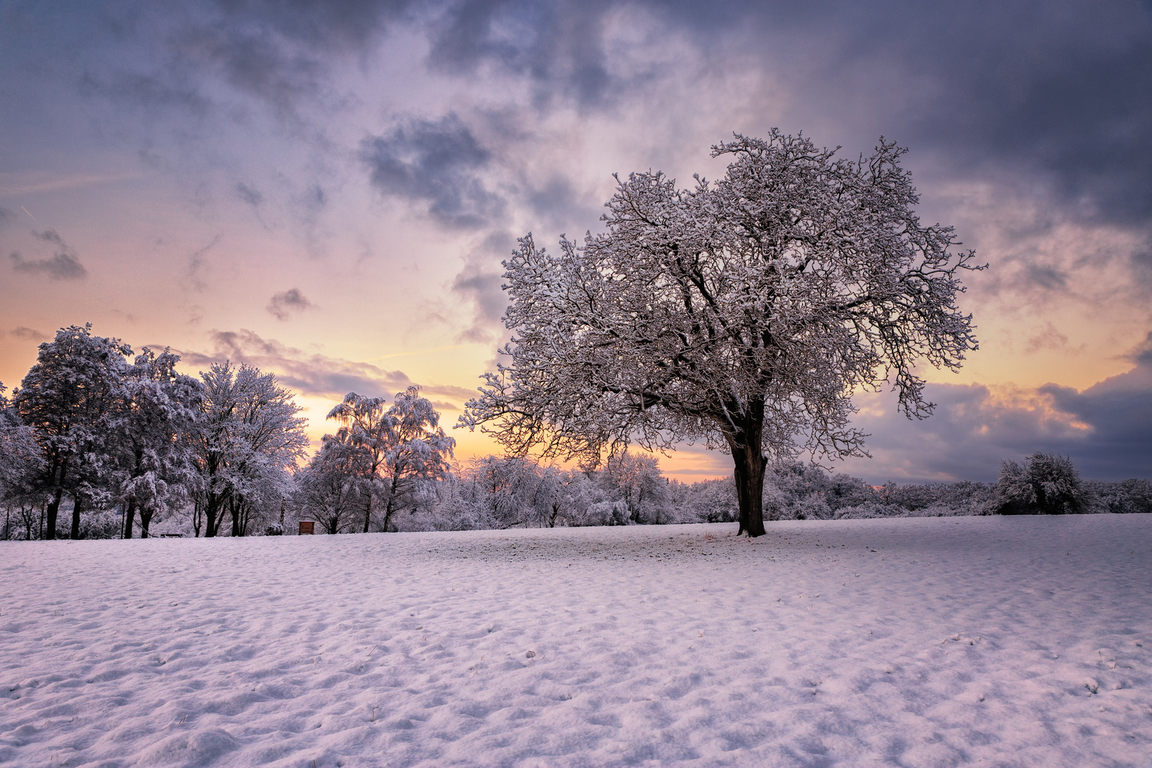 Winter Zauber