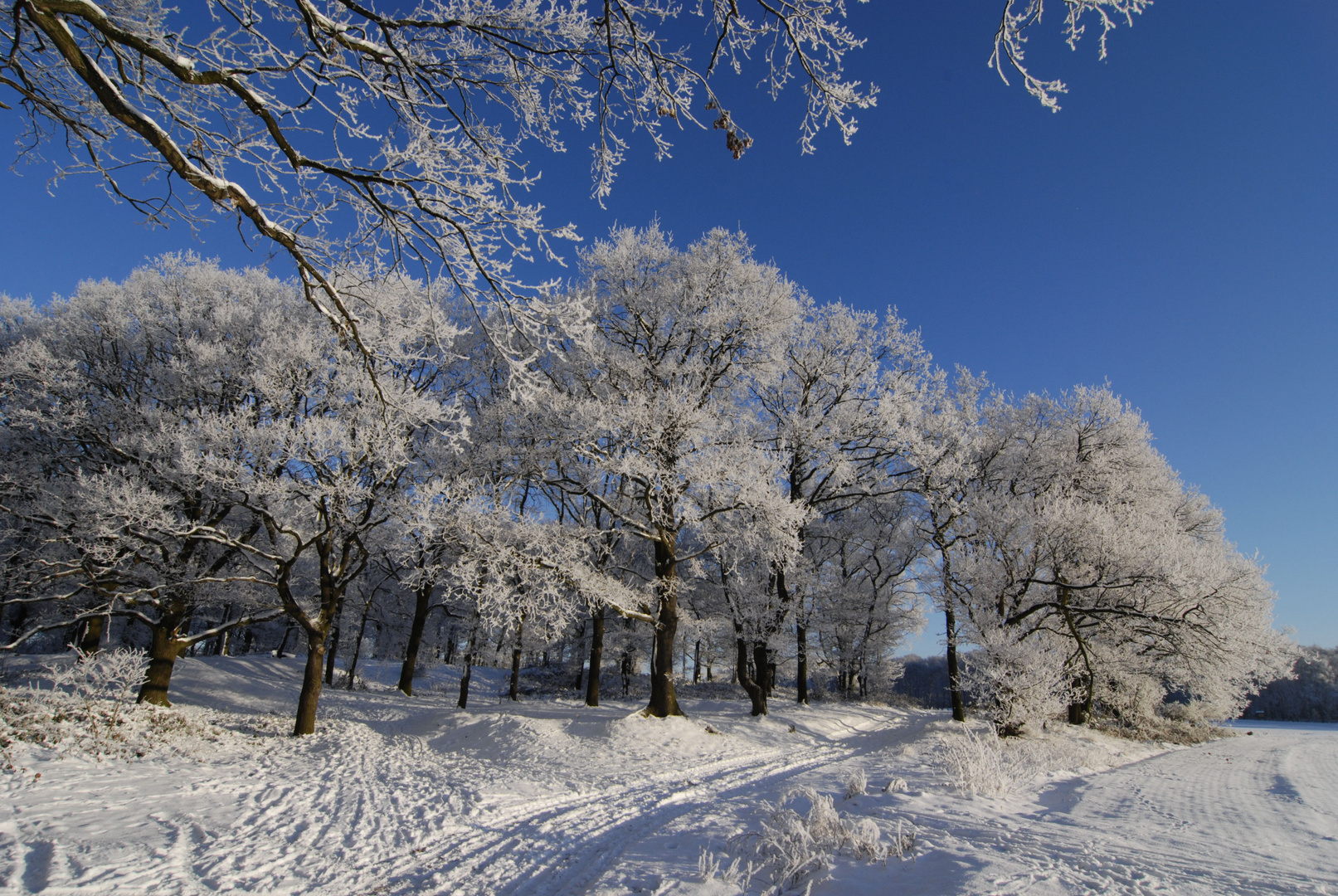 Winter-Zauber