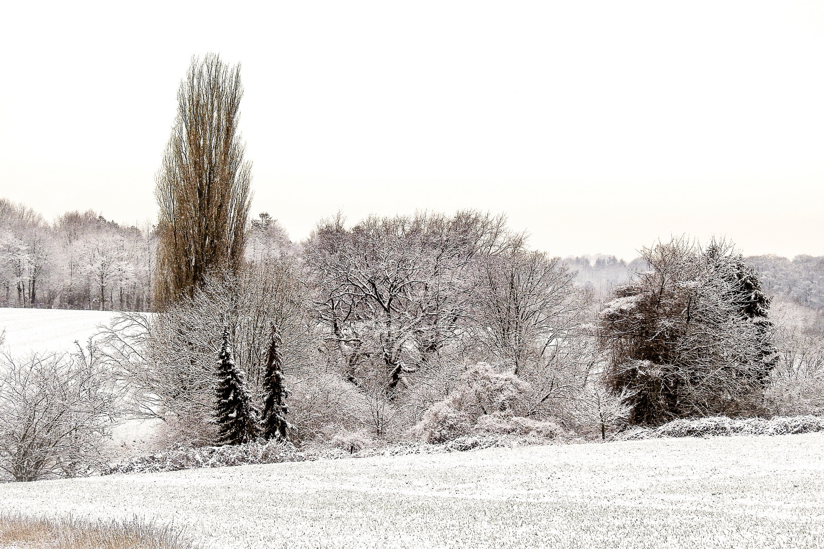 Winter-Zauber-Land