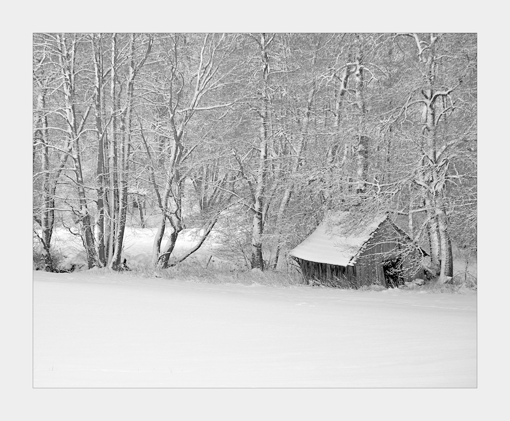 Winter - ZAUBERwald