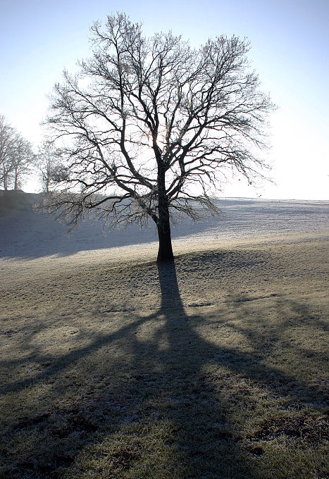 Winter - Zeit der langen Schatten