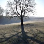 Winter - Zeit der langen Schatten