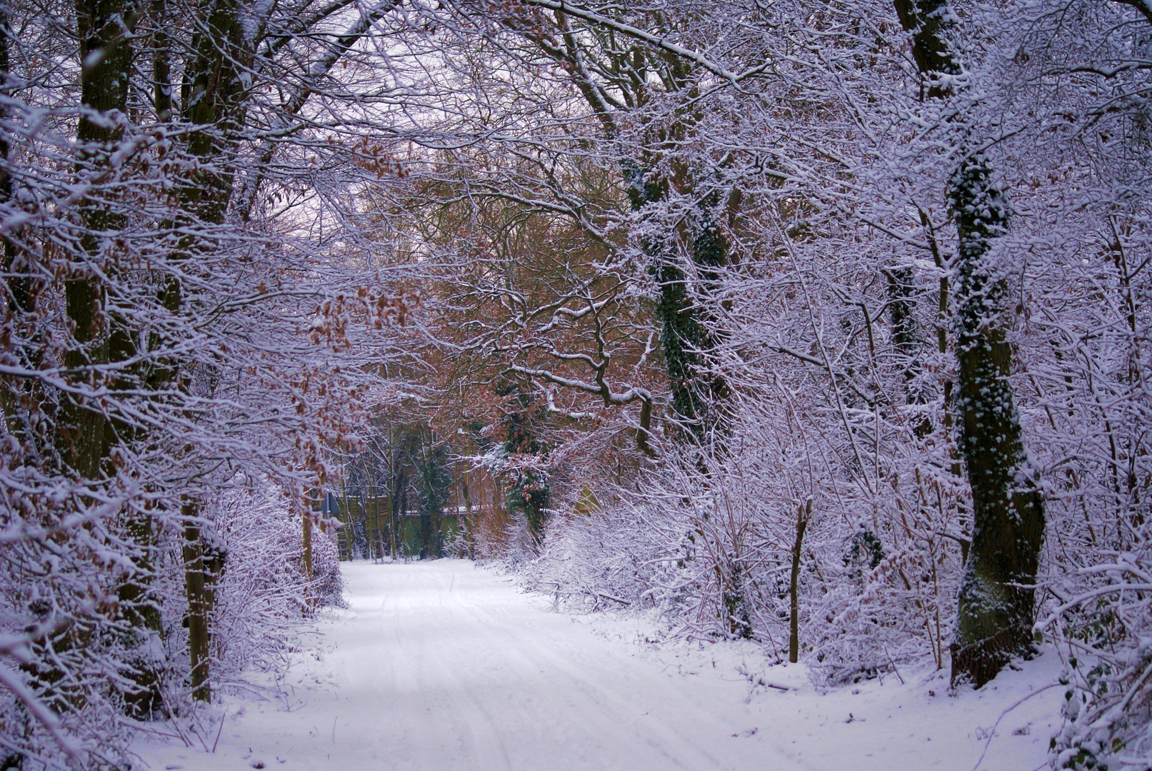 Winter - Zeit der Ruhe