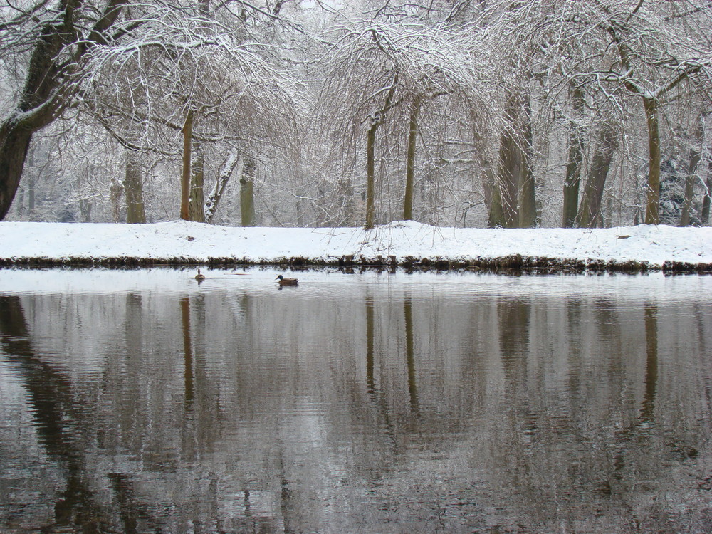 Winter zu Ostern (1)