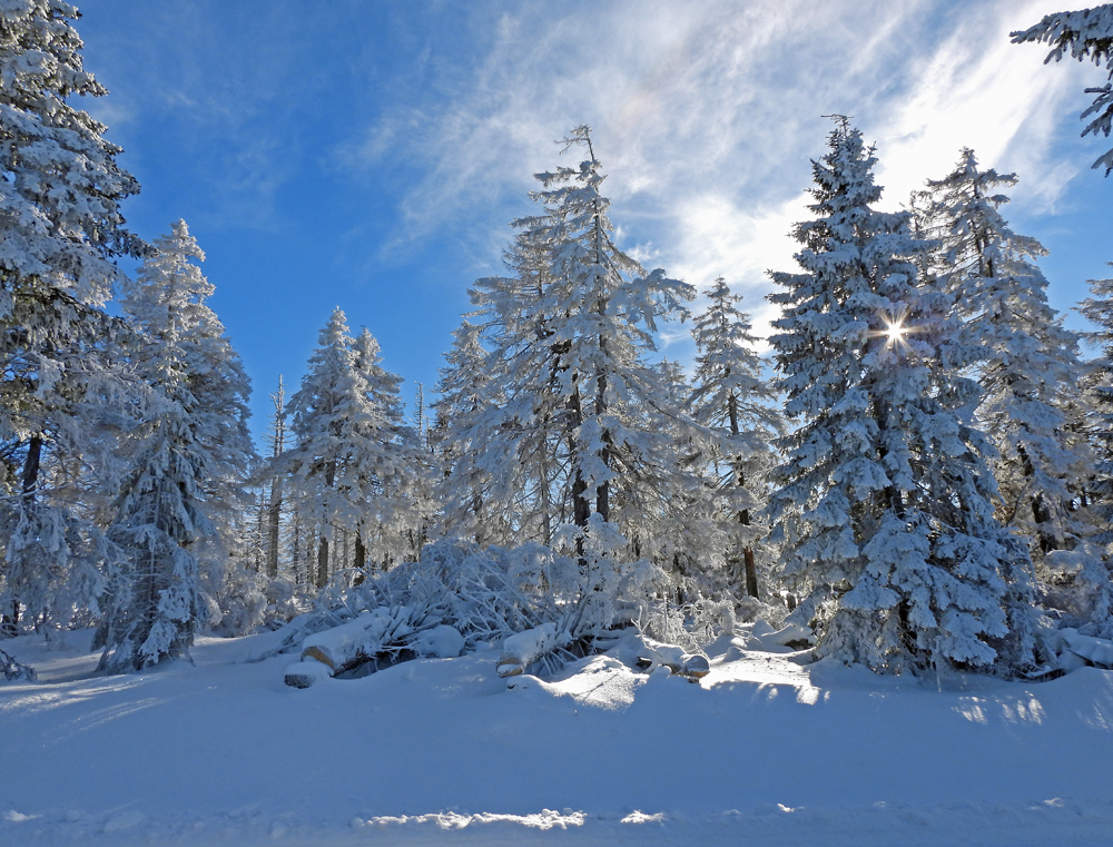 Winter zum Genießen