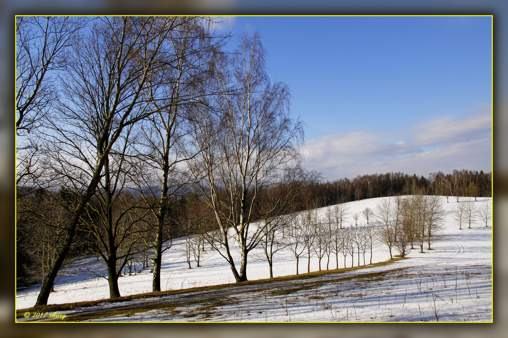 Winter -  zwischen Anfang und Ende 