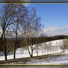 Winter -  zwischen Anfang und Ende 