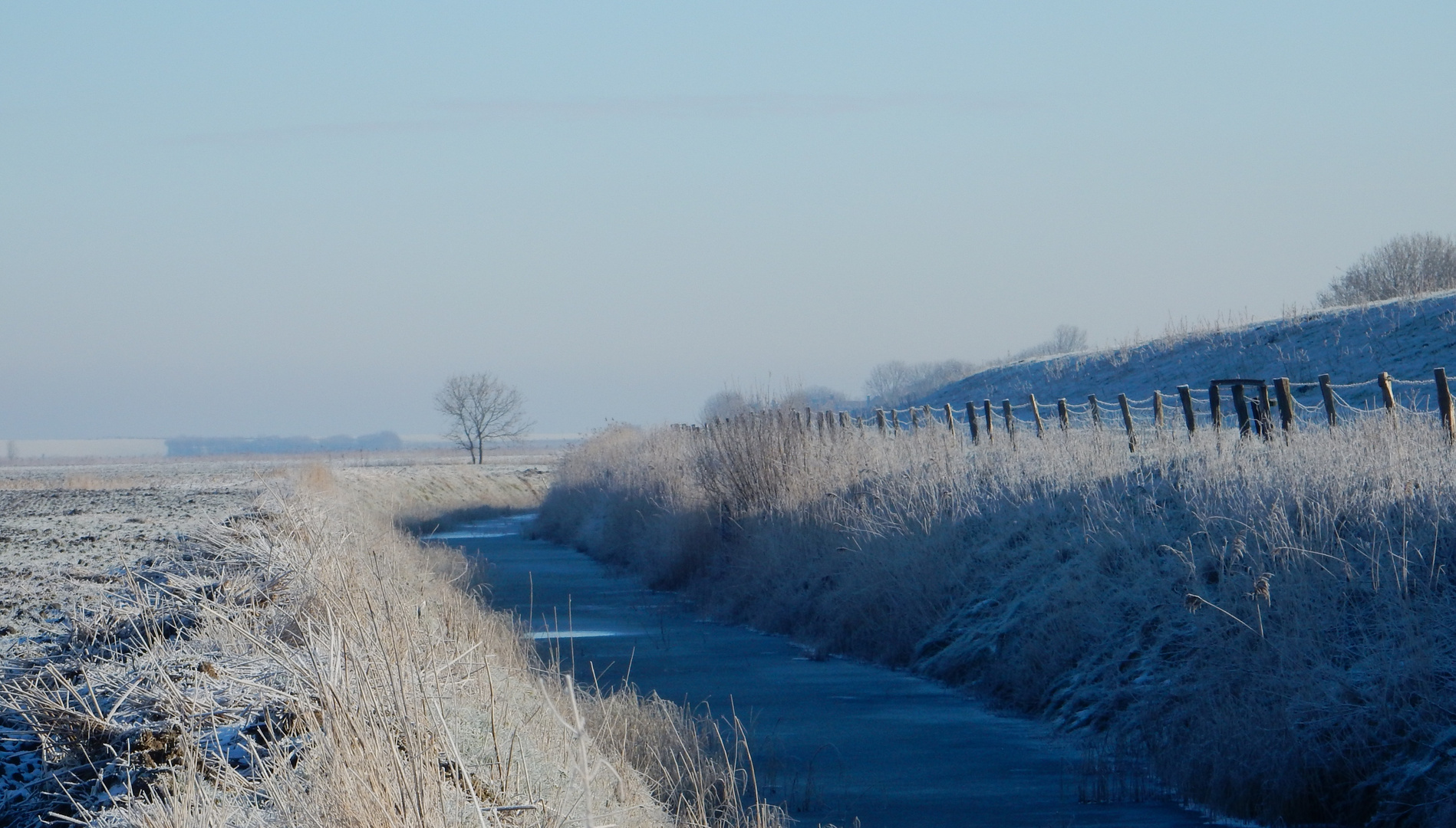 Winter zwischen den Deichen