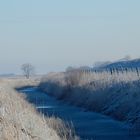 Winter zwischen den Deichen