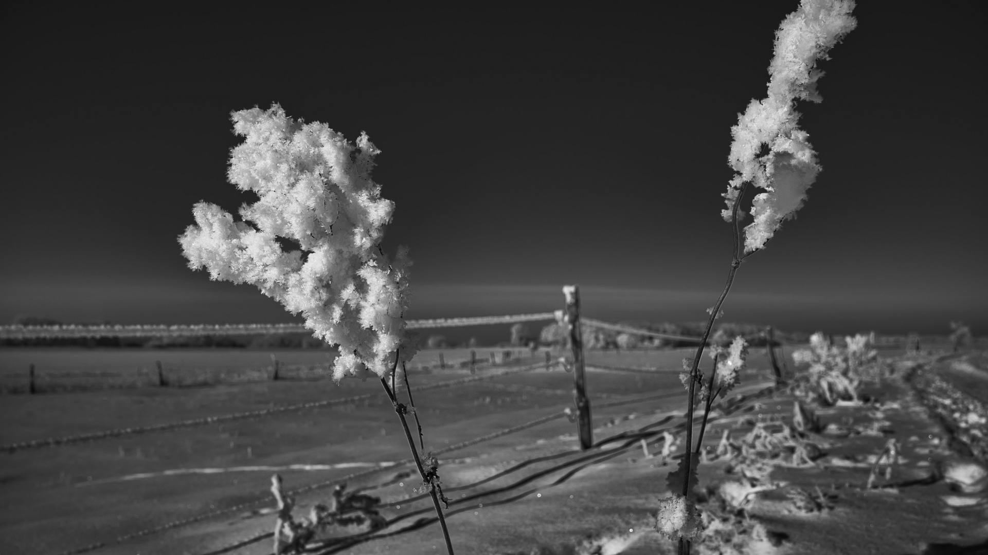 Winter zwischen den Feldern