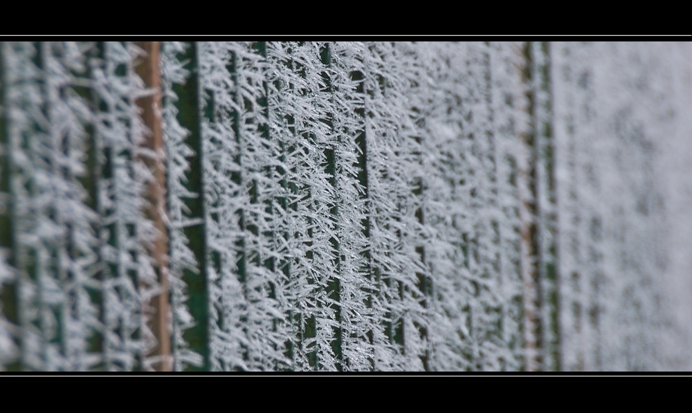 Winter_2