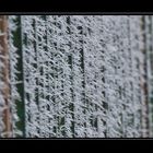 Winter_2