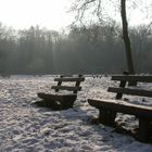 Winter_2