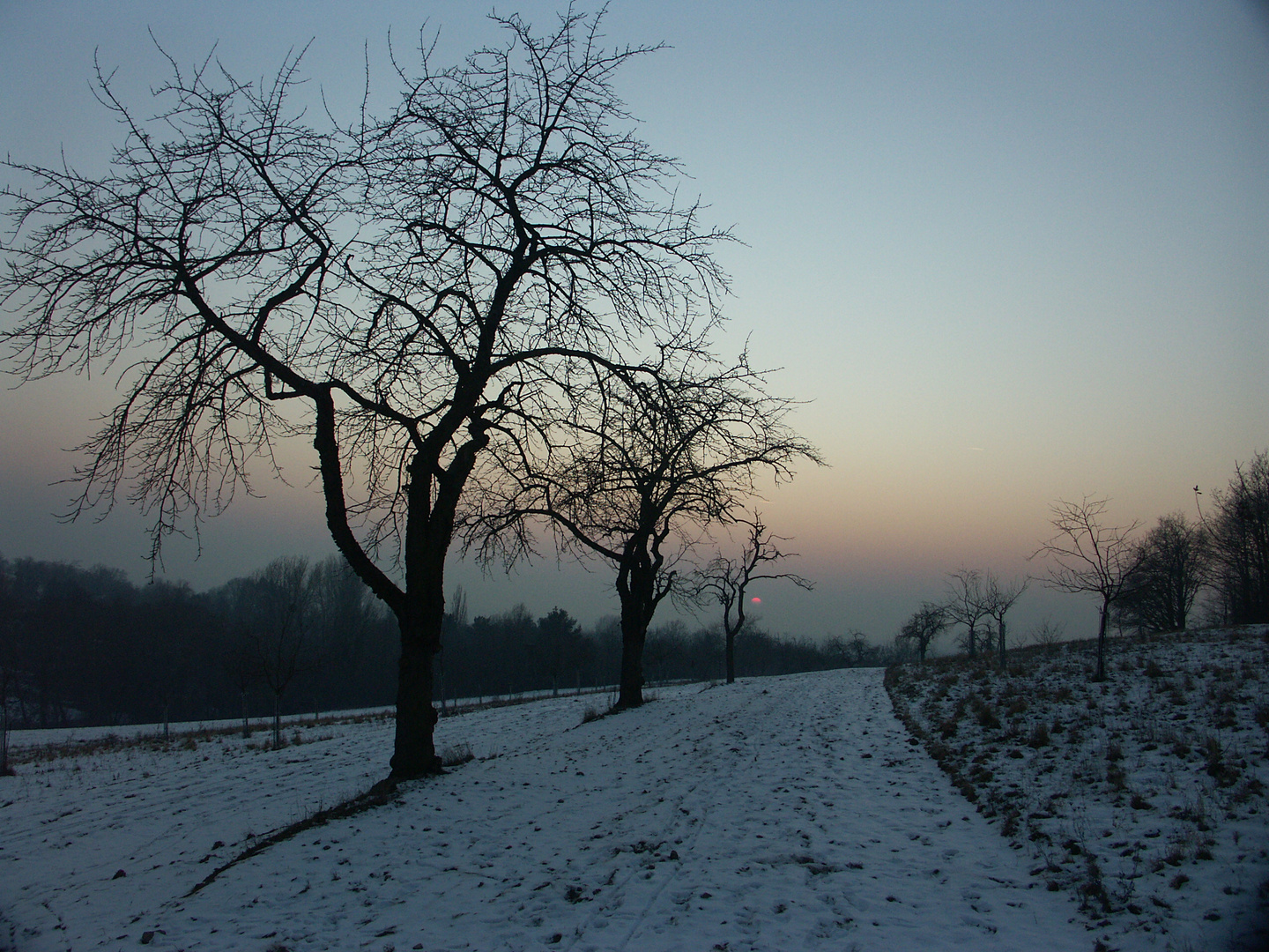 Winter_2