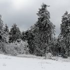 Winter_2