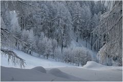 Winter_2008