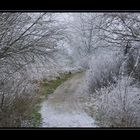 Winter_3