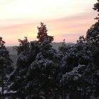 Winteraben im Thüringer Wald