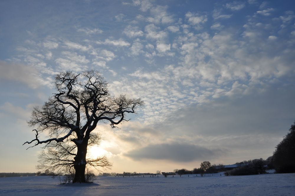 Winterabend by WernerAndrea 