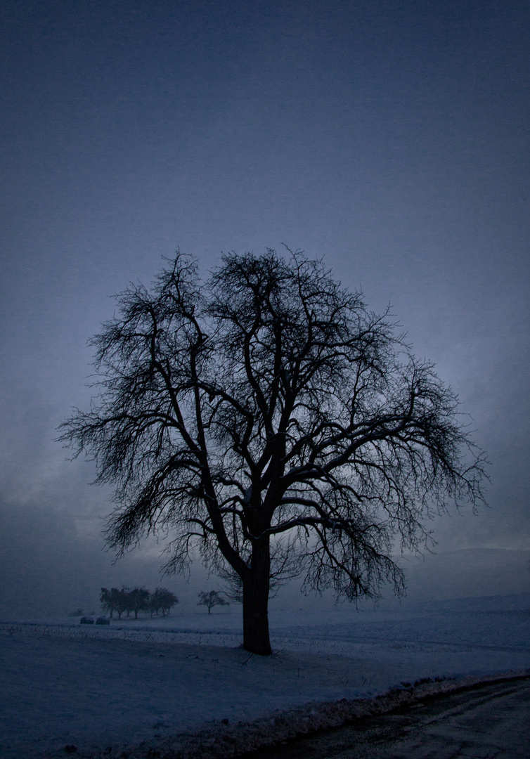 Winterabend