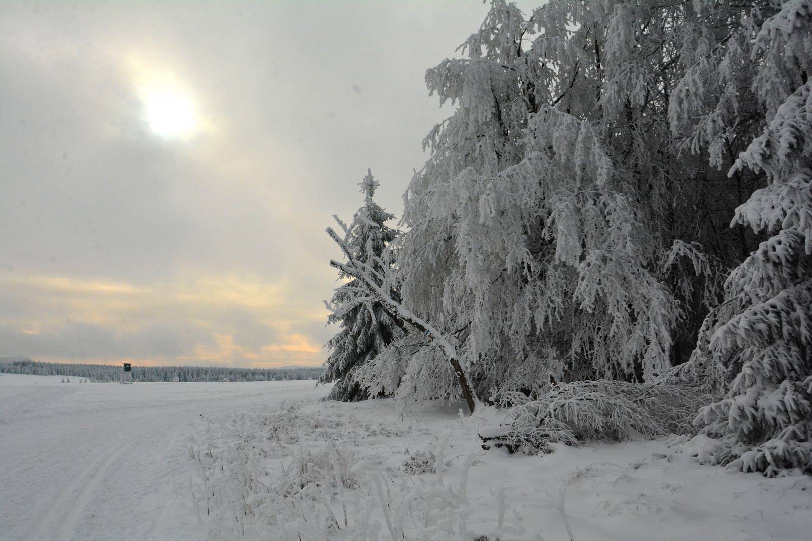 Winterabend