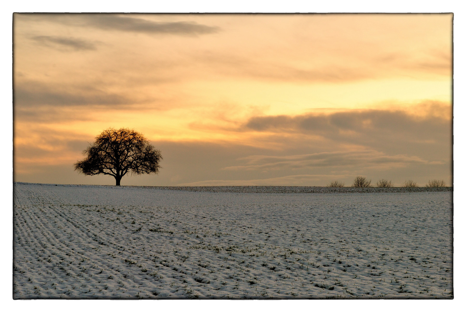 Winterabend 2