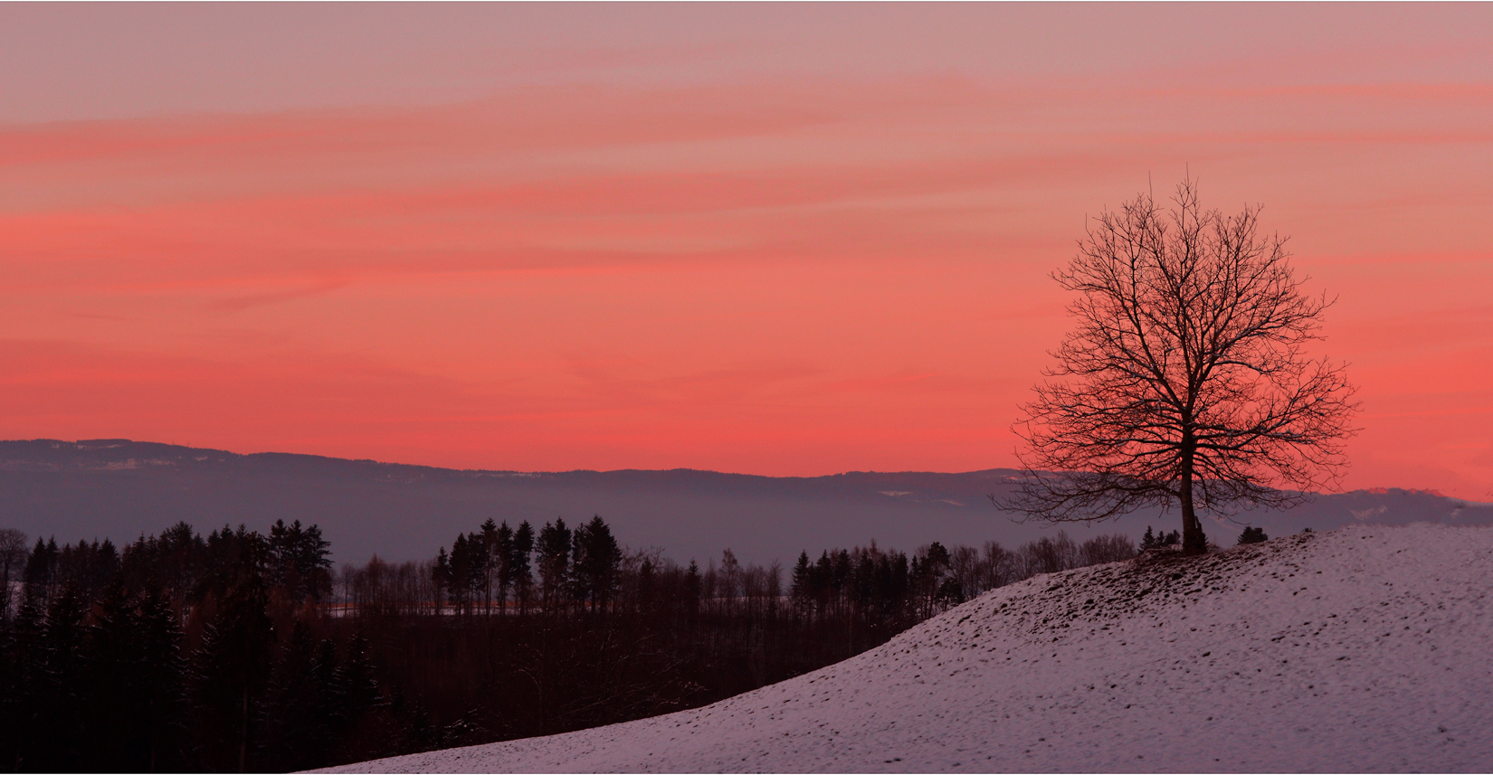 ...winterabend #2...