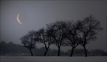 winterabend von Veronika Pinke