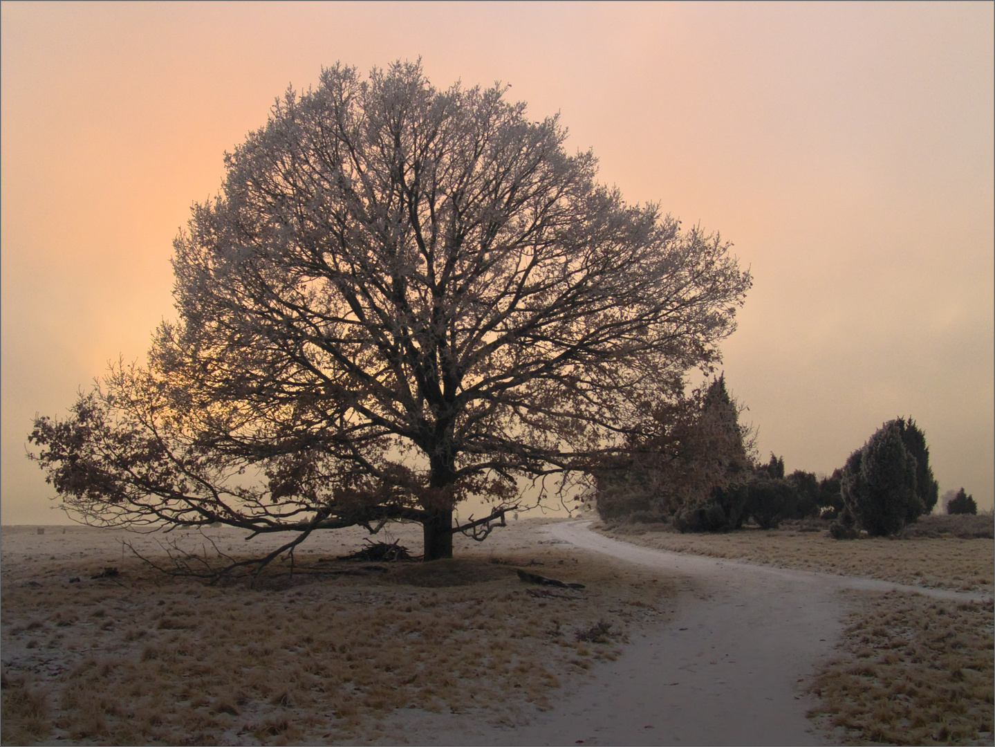 Winterabend*