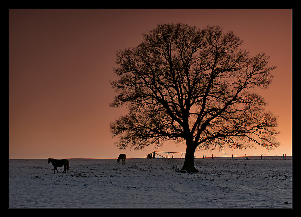 Winterabend