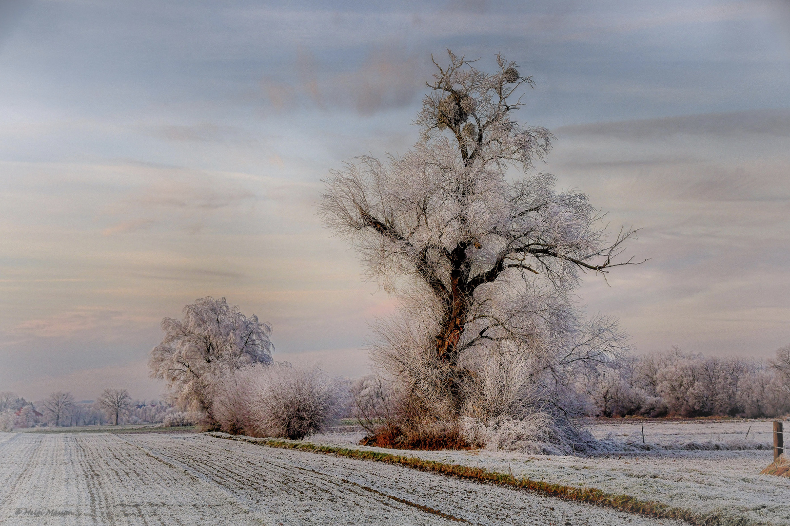 Winterabend