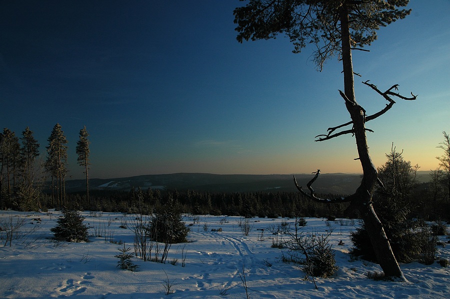 Winterabend