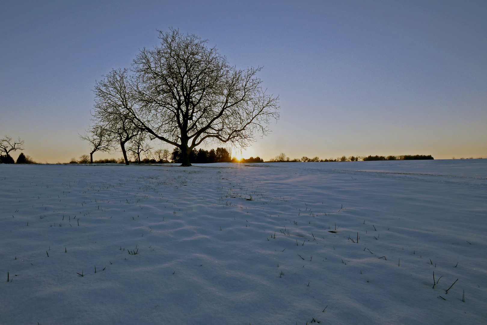 Winterabend