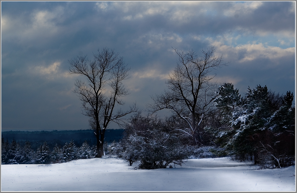 Winterabend