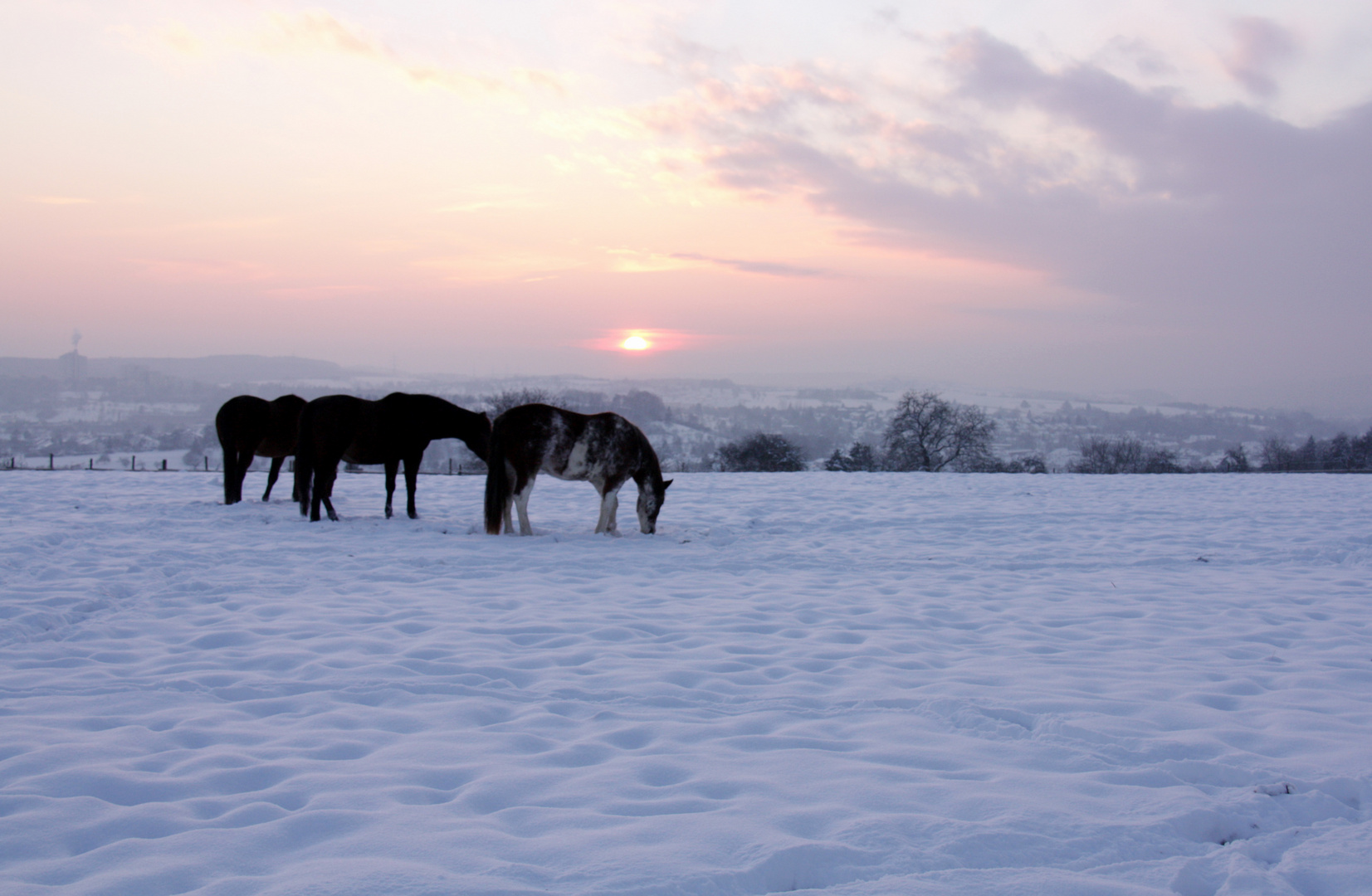 Winterabend