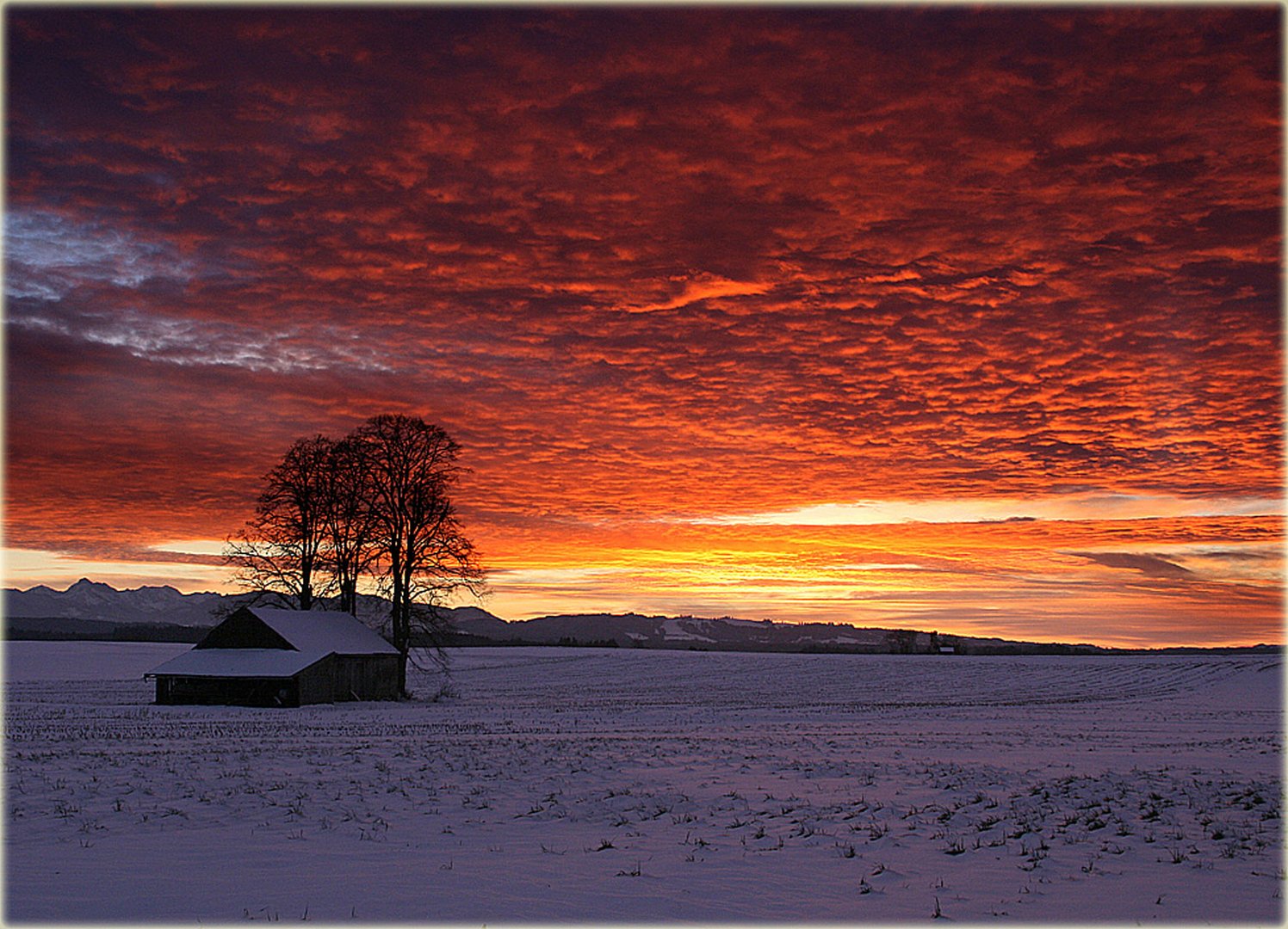 Winterabend