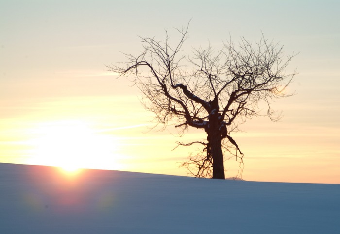 Winterabend