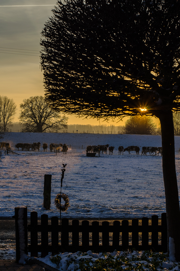 Winterabend