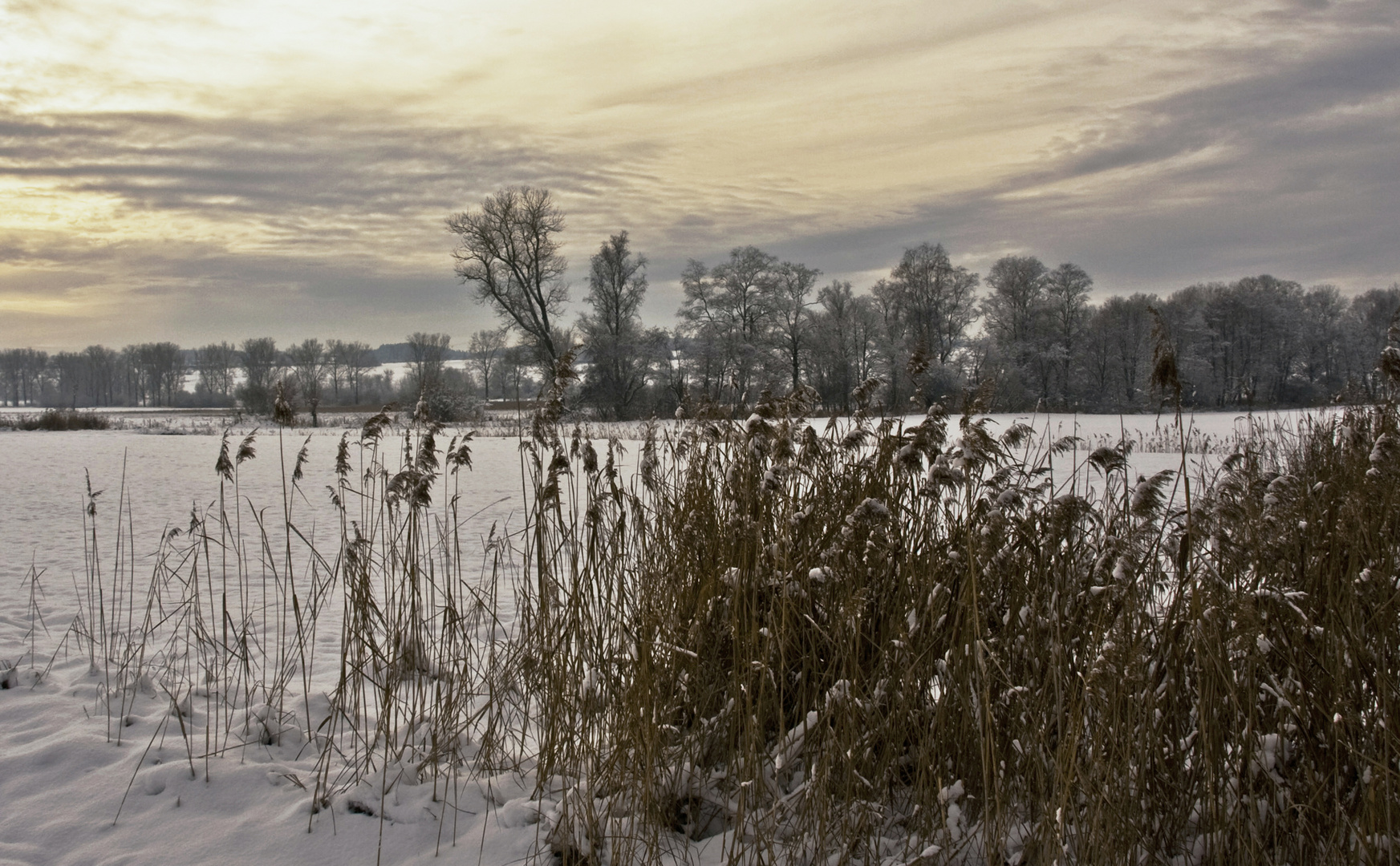 Winterabend