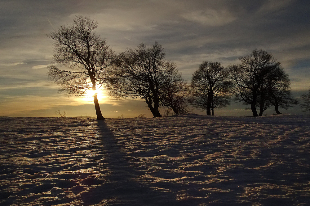 Winterabend