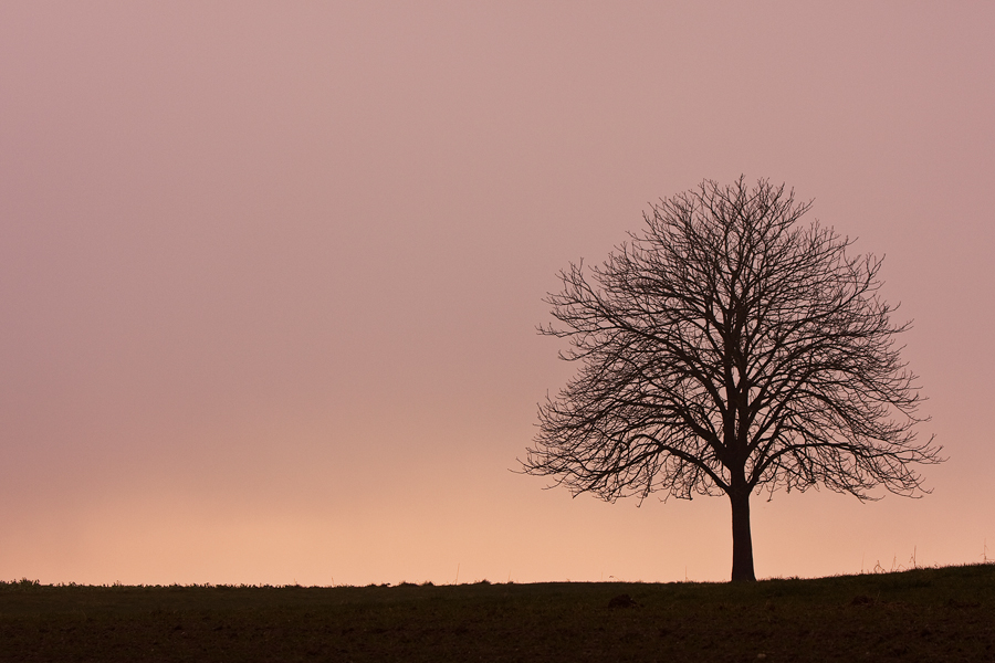 Winterabend