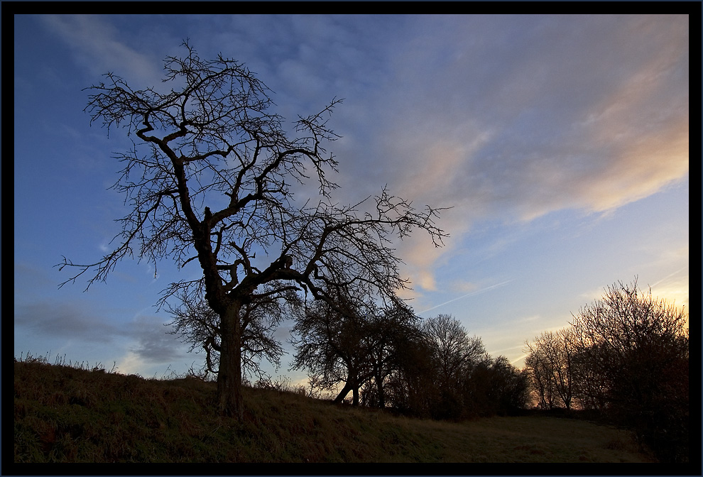 Winterabend